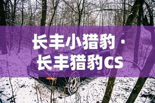 长丰小猎豹 · 长丰猎豹CS10 长丰小猎豹 · 长丰猎豹CS10