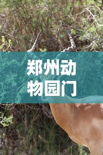 辽宁营口增本土无症状112例(辽宁营口新增2例本土确诊3例无症状) 辽宁营口增本土无症状112例(辽宁营口新增2例本土确诊3例无症状)
