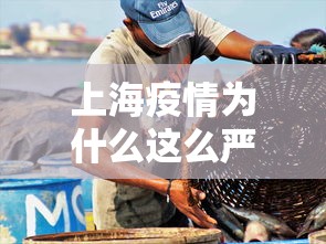 北京新增17例本土感染者