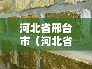 河北省邢台市(河北省邢台市平乡县) 河北省邢台市(河北省邢台市平乡县)