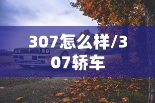 307怎么样/307轿车