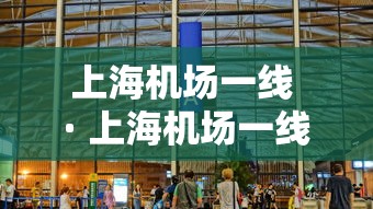上海机场一线 · 上海机场一线是什么车