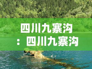 四川九寨沟:四川九寨沟在哪个市哪个县 四川九寨沟:四川九寨沟在哪个市哪个县