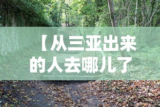 【从三亚出来的人去哪儿了 → 三亚出省了吗】