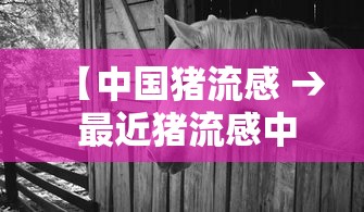 【中国猪流感 → 最近猪流感中国什么地方有】