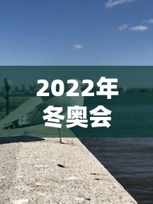 2022年冬奥会有几个国家参加（2022年北京冬奥会有多少个国家参加）