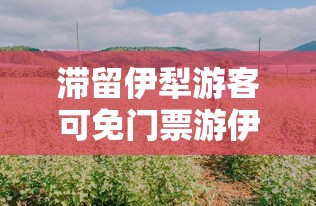 滞留伊犁游客可免门票游伊犁一次