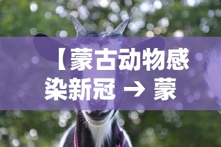 【蒙古动物感染新冠 → 蒙古病毒】 【蒙古动物感染新冠 → 蒙古病毒】