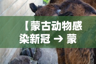 【蒙古动物感染新冠 → 蒙古病毒】