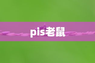 pis老鼠 pis老鼠