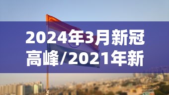 2024年3月新冠高峰/2021年新型冠状病毒高峰期