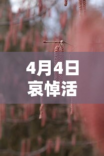 4月4日哀悼活动（4月4日深切哀悼）