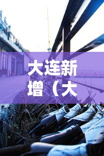 大连新增（大连新增10处不礼让行人抓拍）