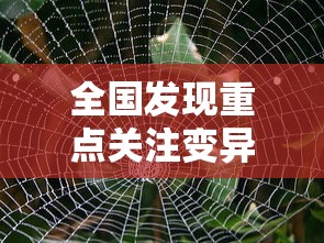 全国发现重点关注变异株13例（中国确诊变异病毒）