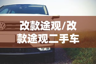 改款途观/改款途观二手车价格