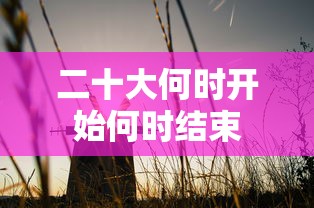 二十大何时开始何时结束