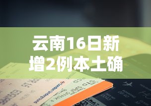 云南16日新增2例本土确诊病例/云南2月16号新增肺炎