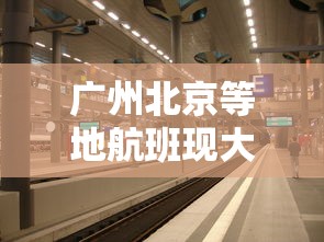广州北京等地航班现大面积取消:广州近5成航班取消 广州北京等地航班现大面积取消:广州近5成航班取消