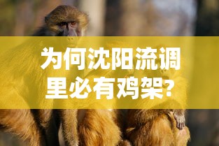 为何沈阳流调里必有鸡架?：沈阳流调鸡架什么意思