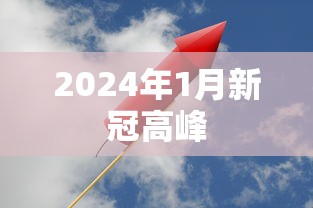 2024年1月新冠高峰