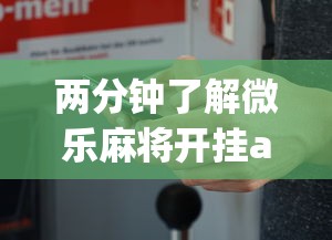两分钟了解微乐麻将开挂app下载苹果手机版安装”真实开挂技巧分享