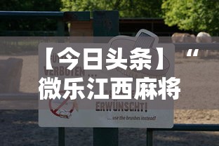 【今日头条】“微乐江西麻将怎么赢最新辅助详细教程