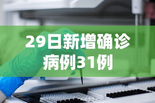 29日新增确诊病例31例