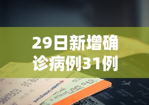 29日新增确诊病例31例