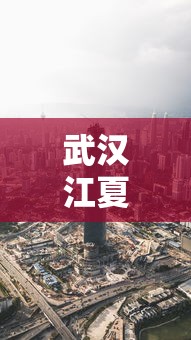 武汉江夏区疫情今天最新消息：武汉江夏区最新信息