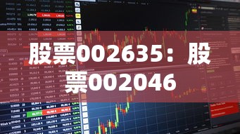 股票002635：股票002046