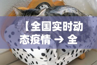 【全国实时动态疫情 → 全国实时疫情图】