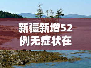 新疆新增52例无症状在伊犁博州阿克苏 · 新疆阿克苏疫情最新