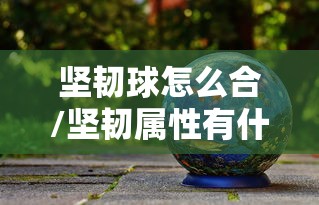坚韧球怎么合/坚韧属性有什么作用 坚韧球怎么合/坚韧属性有什么作用
