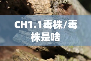 CH1.1毒株/毒株是啥