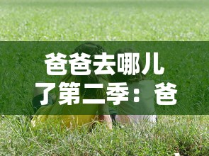 爸爸去哪儿了第二季：爸爸去哪儿了第二季免费观看综艺
