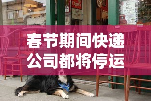 春节期间快递公司都将停运?（快递春节期间停运吗?）