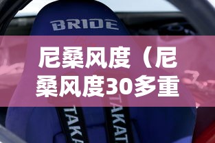 尼桑风度（尼桑风度30多重）