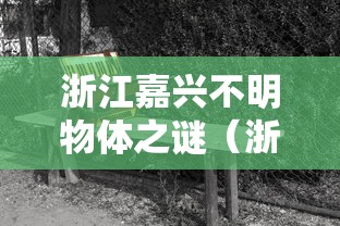 浙江嘉兴不明物体之谜（浙江嘉兴不明物体是什么东西）