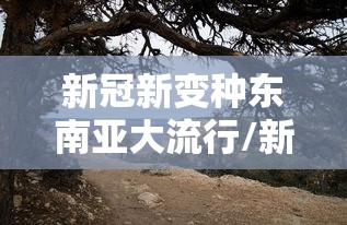 新冠新变种东南亚大流行/新冠对东南亚的影响