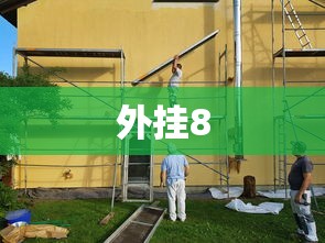 外挂8