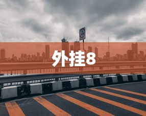 外挂8