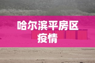 哈尔滨平房区疫情