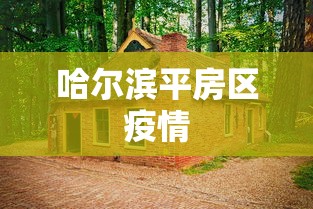 哈尔滨平房区疫情