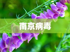 南京病毒