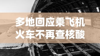 多地回应乘飞机火车不再查核酸/多地回应乘飞机火车不再查核酸结果