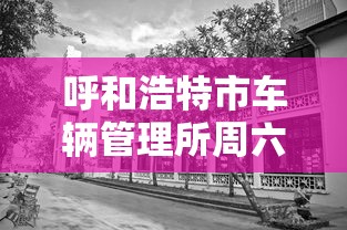 呼和浩特市车辆管理所周六上班吗