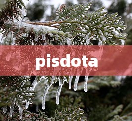 pisdota