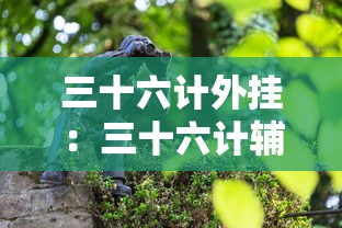 三十六计外挂：三十六计辅助器 下载