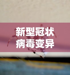 新型冠状病毒变异毒株德尔塔/新型冠状病毒变异毒株德尔塔的潜伏期