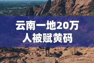 云南一地20万人被赋黄码